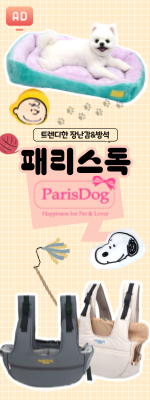 패리스독