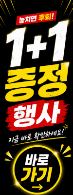 증정 프로모션