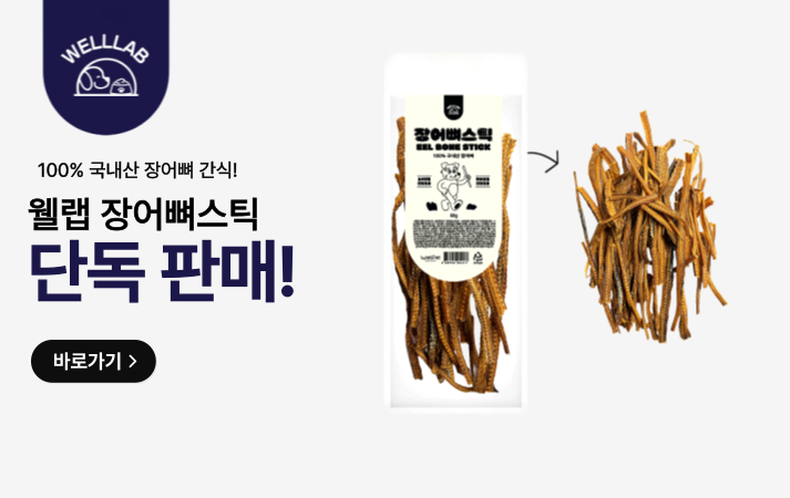 웰랩
