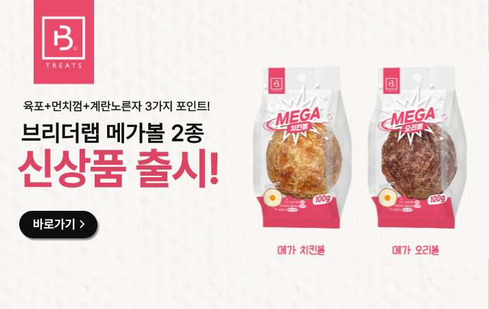 메가볼