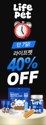 타임딜