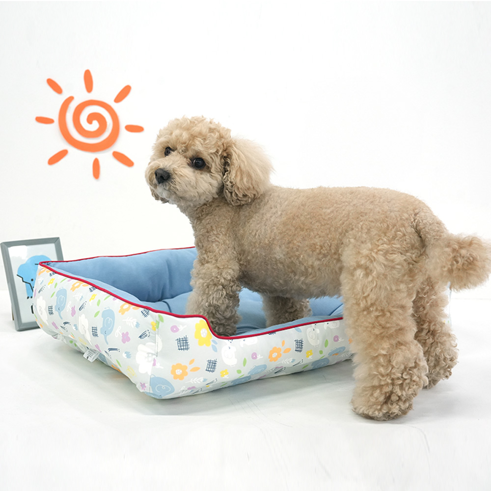 [ParisDog] 코끼리쿨양면베드